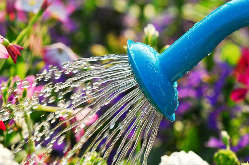 Watering Your Garden